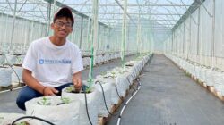 Dari Sarjana Korea Menjadi Juragan Melon Hidroponik: Kisah Sukses Adi Latif Mashudi di Blora