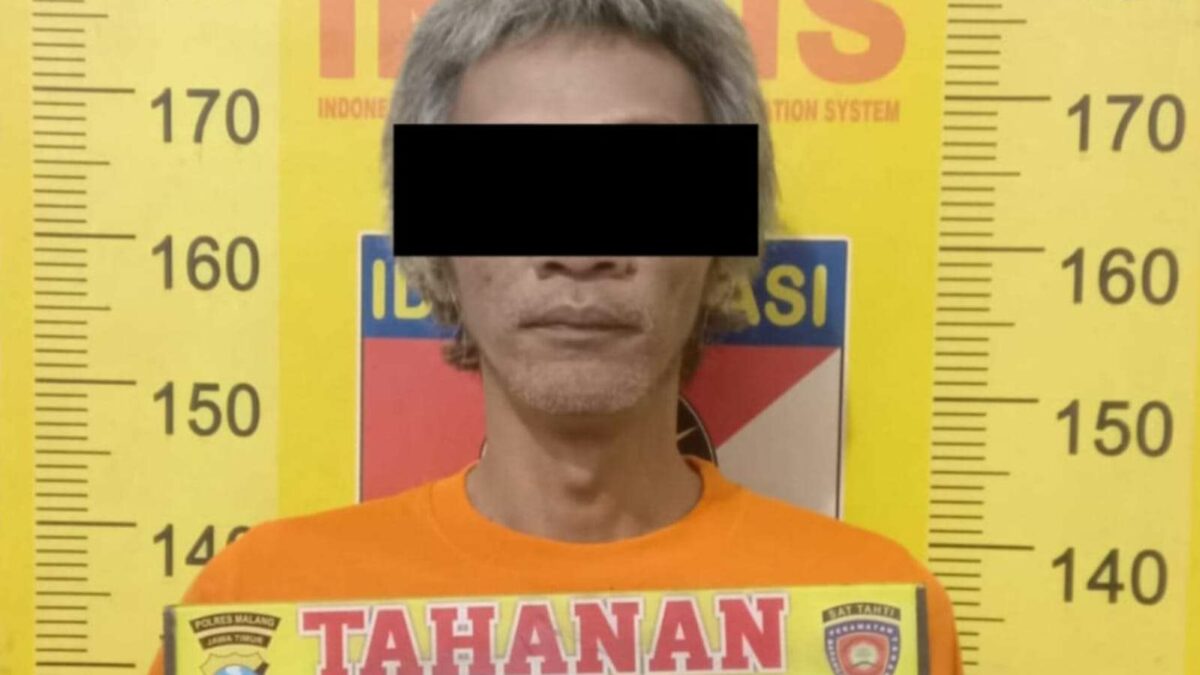 Polres Malang Grebek Rumah di Tumpang, Amankan Sabu dan Puluhan Ganja Siap Panen