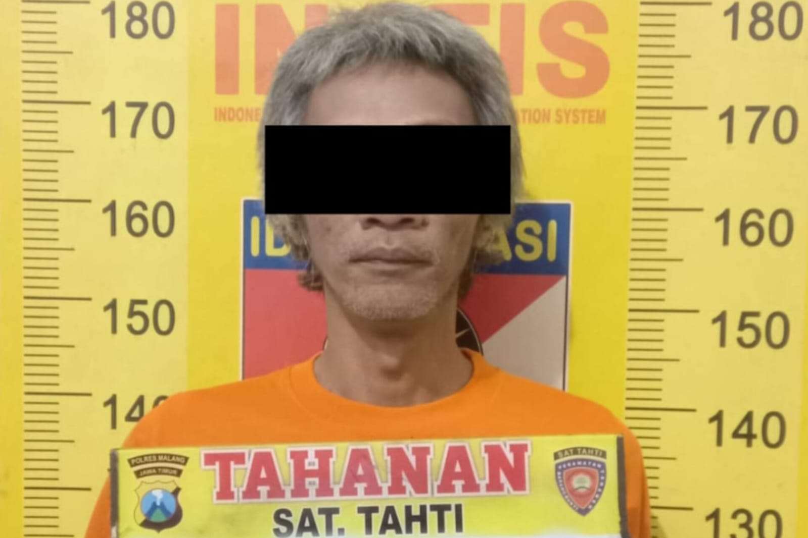 Polres Malang Grebek Rumah di Tumpang, Amankan Sabu dan Puluhan Ganja Siap Panen