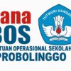 BPK Ungkap Dugaan Penyelewengan Dana BOS di Probolinggo, Skema Transaksi Fiktif Lewat SIPLah