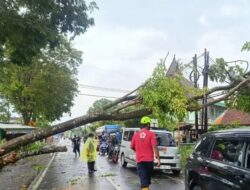 Angin Kencang Terjang Malang, 25 Rumah Rusak dan Jalan Tertutup Pohon Tumbang