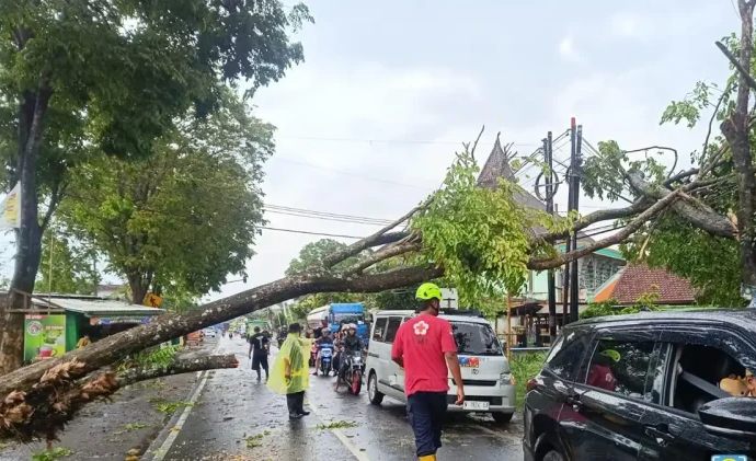 Angin Kencang Terjang Malang, 25 Rumah Rusak dan Jalan Tertutup Pohon Tumbang