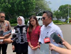 Dewan Pers Gerak Cepat! Kartu Pers CNN yang Dicabut Kini Dikembalikan Istana