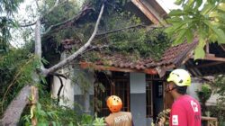 Hujan Deras dan Angin Kencang Terjang Gondanglegi, 4 Rumah Warga Malang Rusak