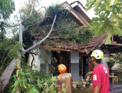Hujan Deras dan Angin Kencang Terjang Gondanglegi, 4 Rumah Warga Malang Rusak