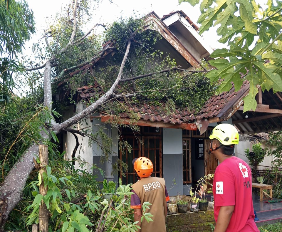 Hujan Deras dan Angin Kencang Terjang Gondanglegi, 4 Rumah Warga Malang Rusak