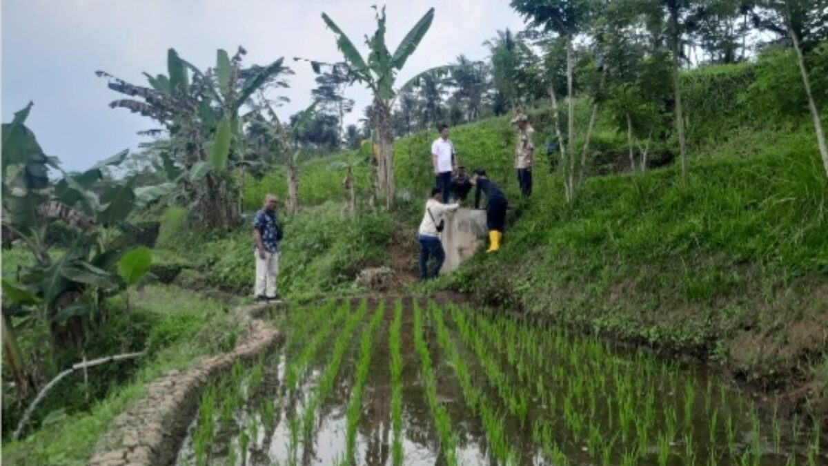 TRC BPBD Kabupaten Malang Monitoring Potensi Kekeringan di Tujuh Kecamatan
