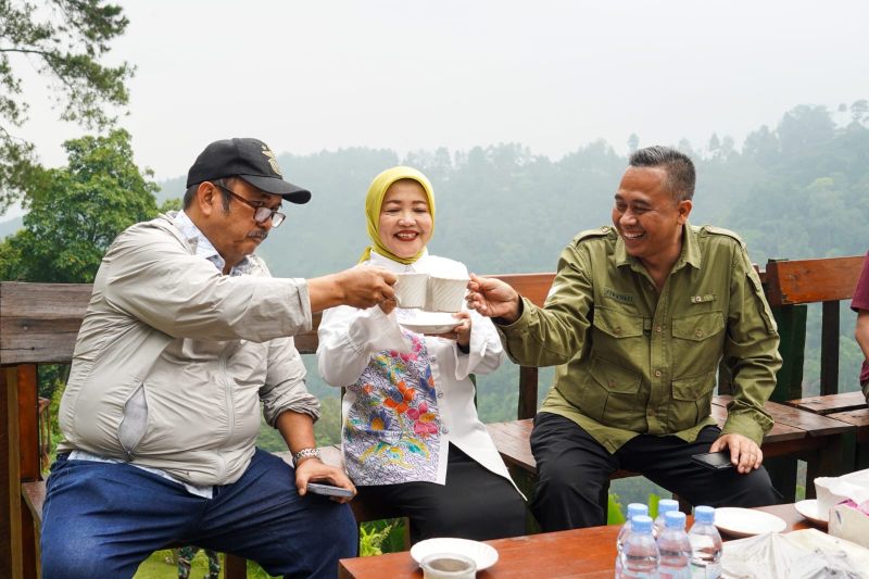 Wabup Lathifah Dampingi Menteri PPN Tinjau Kebun Kopi Benjor, Bahas Dukungan untuk Wisata dan Petani Wabup Lathifah Dampingi Menteri PPN Tinjau Kebun Kopi Benjor, Bahas Dukungan untuk Wisata dan Petani