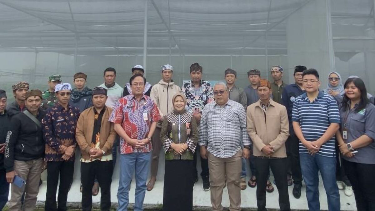Delegasi China Kunjungi Desa Ngadas, Buka Peluang Investasi Pertanian Kentang Malang
