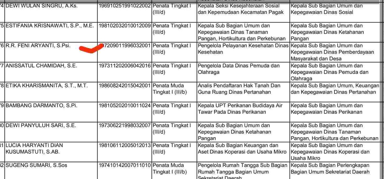 centang merah : diduga nama ASN yang dilantik memakai seragam PKK. 