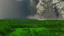 178 Pendaki Terjebak di Ranu Kumbolo Saat Semeru Meletus, TNBTS Pastikan Mereka Selamat