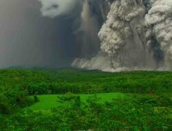 178 Pendaki Terjebak di Ranu Kumbolo Saat Semeru Meletus, TNBTS Pastikan Mereka Selamat