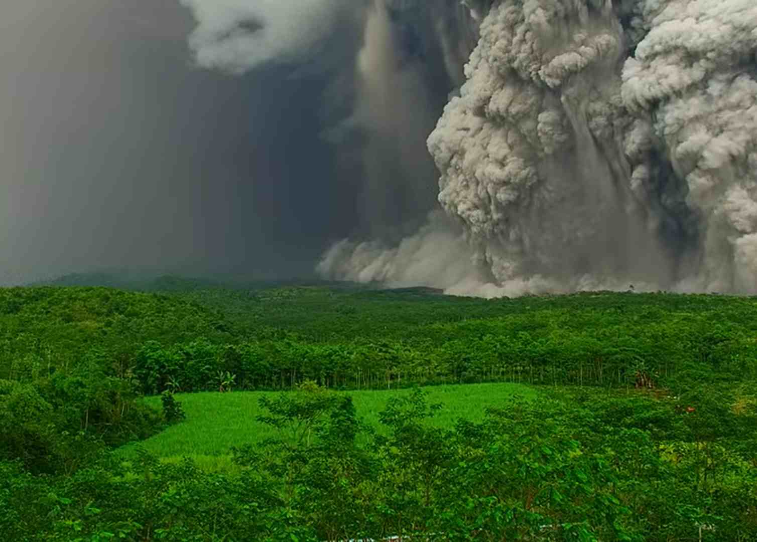 178 Pendaki Terjebak di Ranu Kumbolo Saat Semeru Meletus, TNBTS Pastikan Mereka Selamat