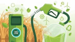 Riset Bioetanol Jerami Masih Mandek, BRIN Ungkap Hambatan Teknis Paling Berat