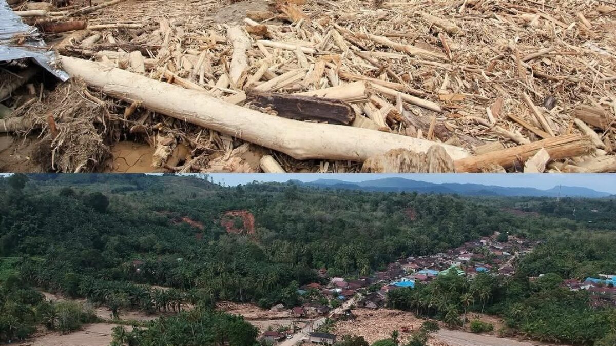 BNPB: 303 Korban Meninggal Banjir-Longsor di Sumatra, 279 Orang Masih Hilang BNPB: 303 Korban Meninggal Banjir-Longsor di Sumatra, 279 Orang Masih Hilang