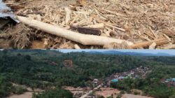 BNPB: 303 Korban Meninggal Banjir-Longsor di Sumatra, 279 Orang Masih Hilang