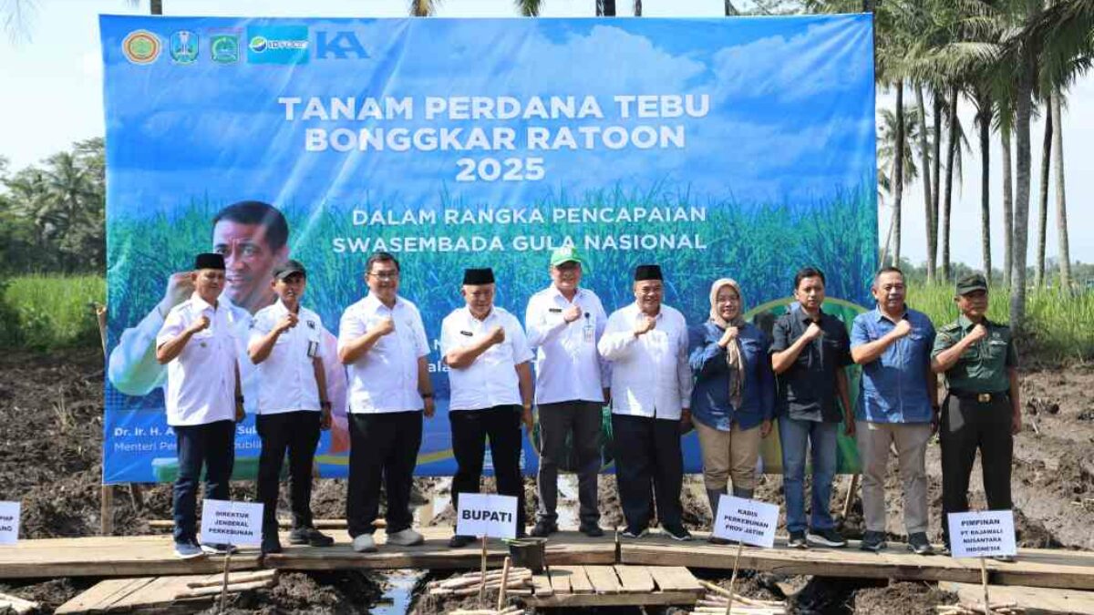 Bupati Sanusi Pimpin Tanam Perdana Tebu, Target 15 Ribu Hektare Demi Swasembada Gula 2025