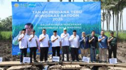 Bupati Sanusi Pimpin Tanam Perdana Tebu, Target 15 Ribu Hektare Demi Swasembada Gula 2025