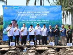 Bupati Sanusi Pimpin Tanam Perdana Tebu, Target 15 Ribu Hektare Demi Swasembada Gula 2025