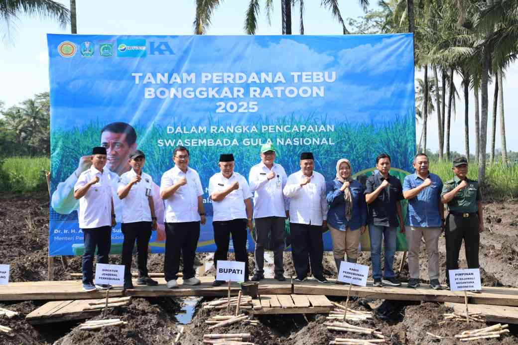 Bupati Sanusi Pimpin Tanam Perdana Tebu, Target 15 Ribu Hektare Demi Swasembada Gula 2025 Bupati Sanusi Pimpin Tanam Perdana Tebu, Target 15 Ribu Hektare Demi Swasembada Gula 2025