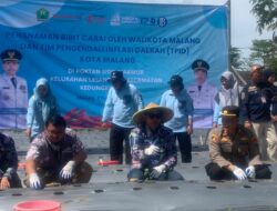 Dispangtan Malang Gerak Cepat: Produksi Cabai Digenjot Tekan Inflasi