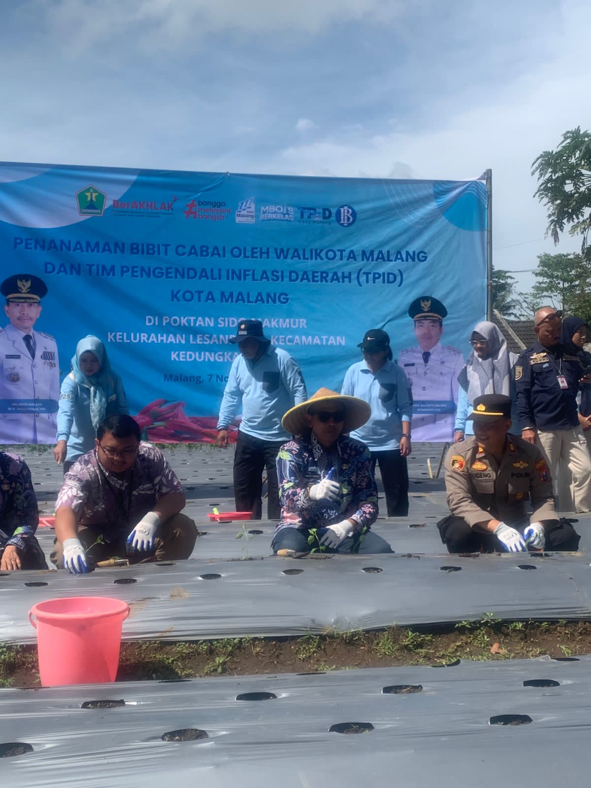 Dispangtan Malang Gerak Cepat: Produksi Cabai Digenjot Tekan Inflasi Dispangtan Malang Gerak Cepat: Produksi Cabai Digenjot Tekan Inflasi