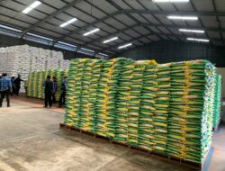Stok Beras Bulog Malang Tembus 28 Ribu Ton, Dijamin Aman hingga 6 Bulan
