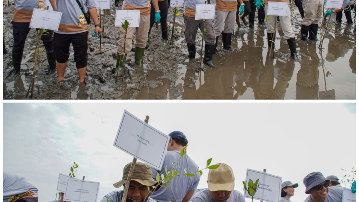 Emisi Karbon Terus Meningkat, Hijaukan Pesisir dengan 1.000 Mangrove di Jawa Timur Emisi Karbon Terus Meningkat, Hijaukan Pesisir dengan 1.000 Mangrove di Jawa Timur