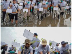 Emisi Karbon Terus Meningkat, Hijaukan Pesisir dengan 1.000 Mangrove di Jawa Timur