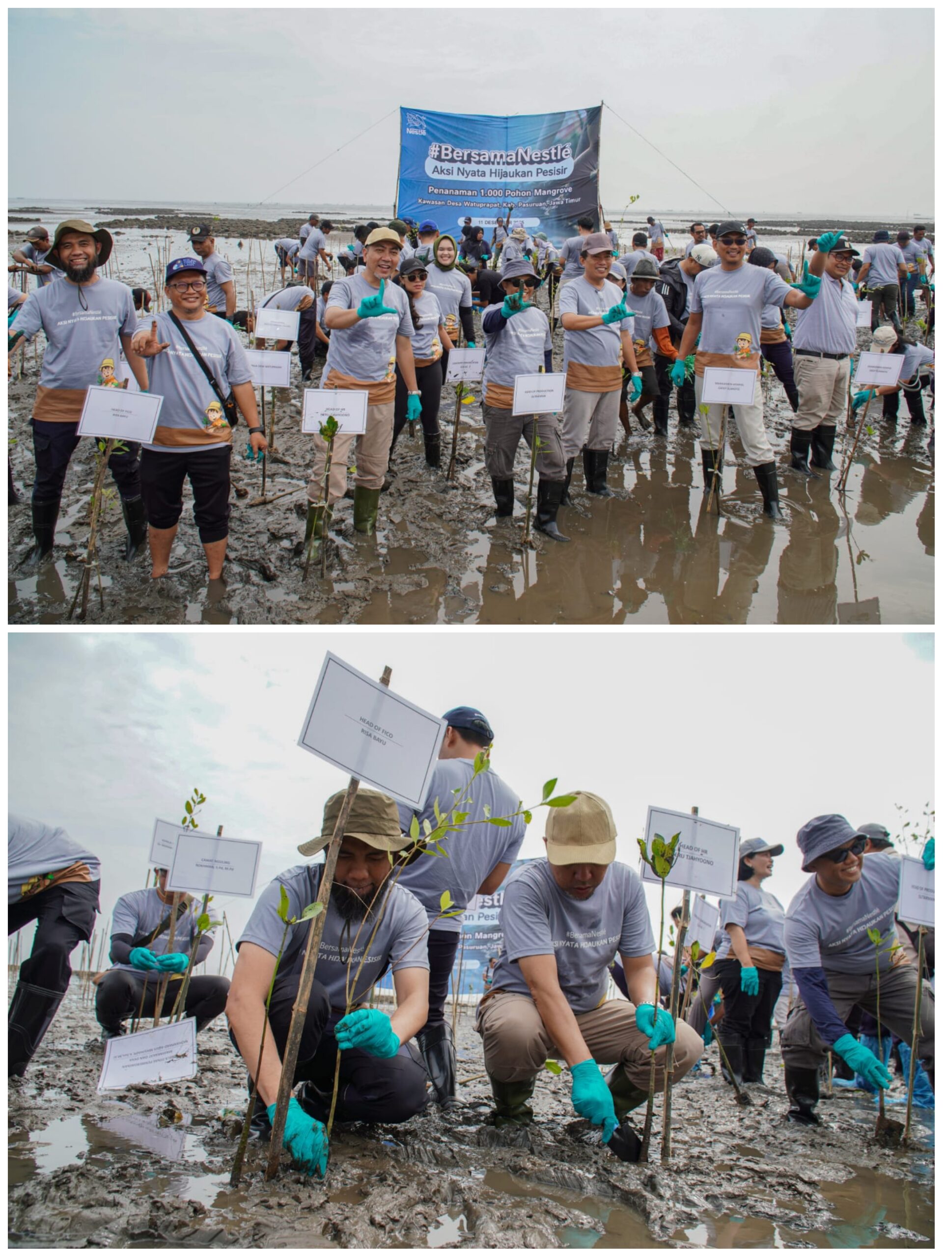 Emisi Karbon Terus Meningkat, Hijaukan Pesisir dengan 1.000 Mangrove di Jawa Timur Emisi Karbon Terus Meningkat, Hijaukan Pesisir dengan 1.000 Mangrove di Jawa Timur