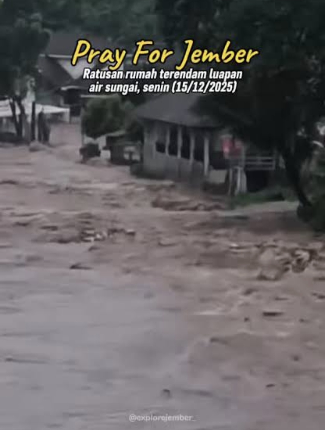 Banjir Sungai Bedadung Rendam Jember, 1.271 KK Terdampak dan Ratusan Warga Mengungsi Banjir Sungai Bedadung Rendam Jember, 1.271 KK Terdampak dan Ratusan Warga Mengungsi