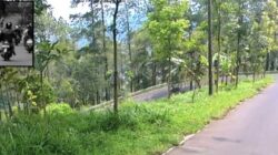 Mau Liburan Natal dan Tahun Baru ke Batu? Cek 5 Titik Rawan Kecelakaan Ini Agar Perjalanan Aman