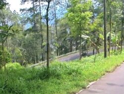 Mau Liburan Natal dan Tahun Baru ke Batu? Cek 5 Titik Rawan Kecelakaan Ini Agar Perjalanan Aman