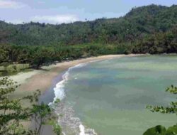 4 Pantai di Malang yang Jadi Surga Surfing Saat Libur Nataru