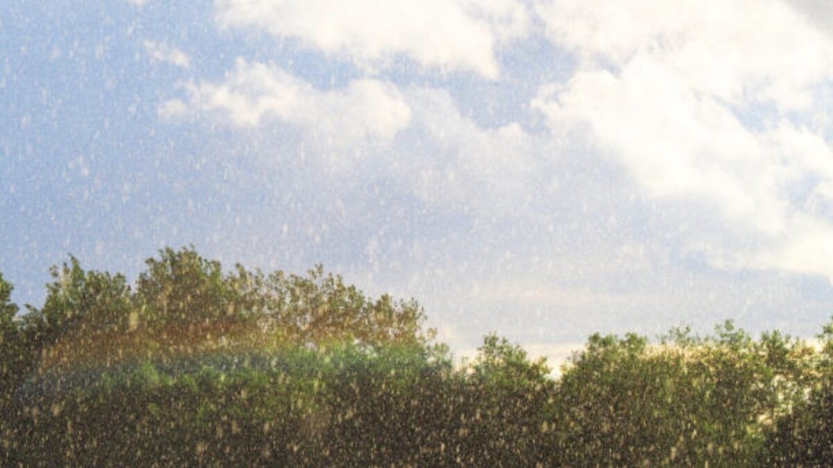 Panasnya Cuaca Malang Raya Meski Musim Hujan, Ini Penjelasan BMKG