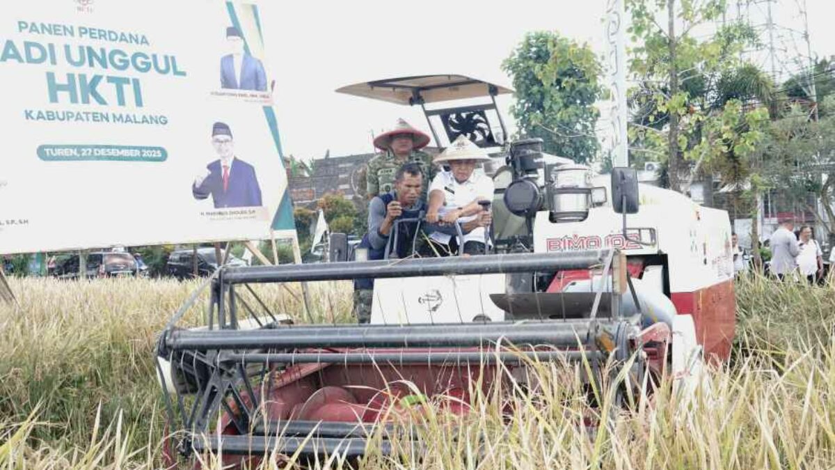 Panen Perdana Padi Unggul di Turen, Bupati Malang Tegaskan Komitmen Perkuat Swasembada Pangan Panen Perdana Padi Unggul di Turen, Bupati Malang Tegaskan Komitmen Perkuat Swasembada Pangan