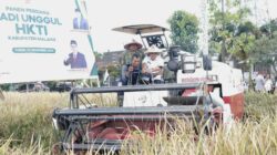 Panen Perdana Padi Unggul di Turen, Bupati Malang Tegaskan Komitmen Perkuat Swasembada Pangan Panen Perdana Padi Unggul di Turen, Bupati Malang Tegaskan Komitmen Perkuat Swasembada Pangan