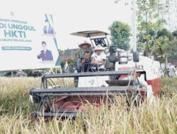 Panen Perdana Padi Unggul di Turen, Bupati Malang Tegaskan Komitmen Perkuat Swasembada Pangan