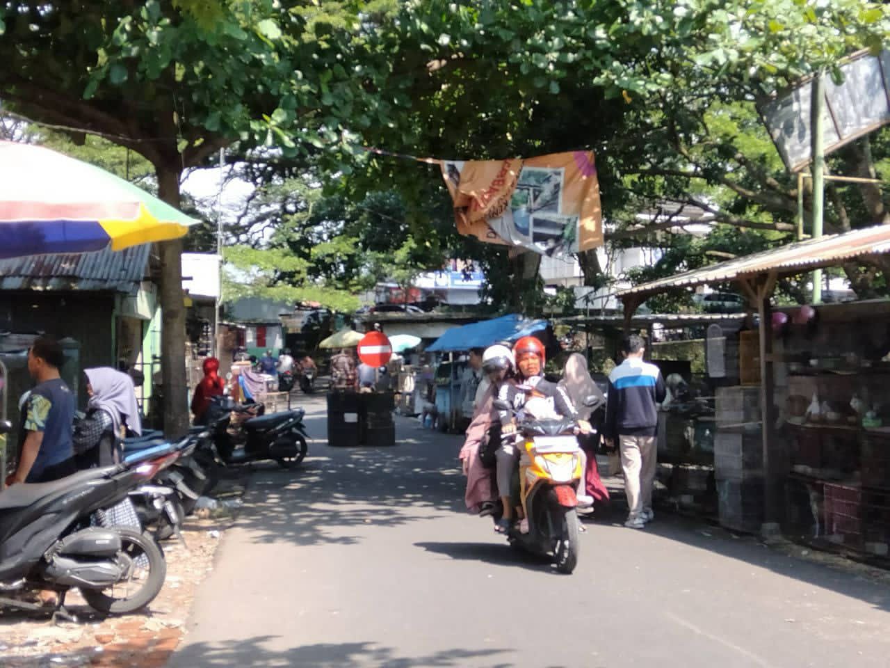Kawasan Splendid–Pasar Burung Malang Bakal Direvitalisasi Berbasis Heritage Biar Tidak Semrawut Kawasan Splendid–Pasar Burung Malang Bakal Direvitalisasi Berbasis Heritage Biar Tidak Semrawut