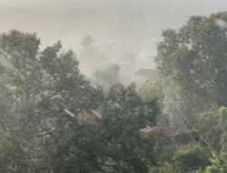 Jatim Dilanda Cuaca Ekstrem, 3.000 Hektare Sawah Puso tapi Produksi Padi Tetap Aman