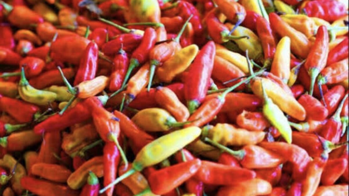 Harga Cabai dan Emas Melesat, Inflasi Kota Malang Desember Sentuh 0,56%