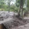 Gelondongan Kayu hingga Sampah Pertanian Jadi Penyebab Banjir Lumpur di Kota Batu