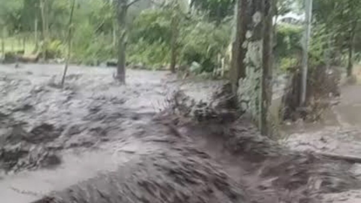 Gelondongan Kayu hingga Sampah Pertanian Jadi Penyebab Banjir Lumpur di Kota Batu