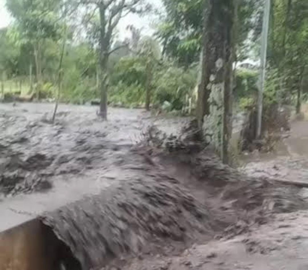 Gelondongan Kayu hingga Sampah Pertanian Jadi Penyebab Banjir Lumpur di Kota Batu Gelondongan Kayu hingga Sampah Pertanian Jadi Penyebab Banjir Lumpur di Kota Batu