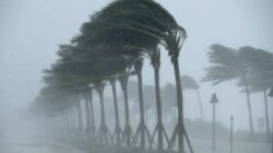 Angin Kencang Terjang Malang Raya, BMKG Beberkan Pemicu hingga Ancaman Cuaca Ekstrem Angin Kencang Terjang Malang Raya, BMKG Beberkan Pemicu hingga Ancaman Cuaca Ekstrem