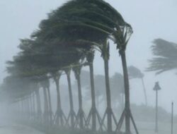 Angin Kencang Terjang Malang Raya, BMKG Beberkan Pemicu hingga Ancaman Cuaca Ekstrem