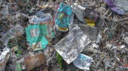 Sungai Brantas Tercemar Sampah Impor, Plastik dari Selandia Baru hingga Kanada Menggunung di Malang