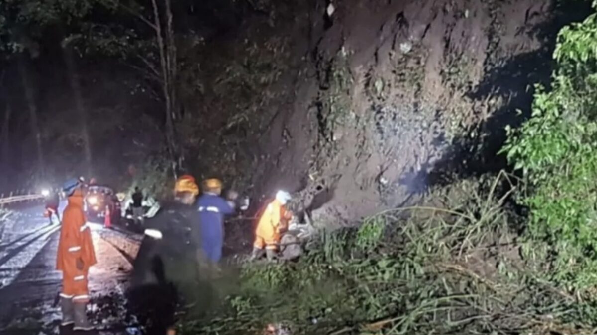 Hujan Deras, Longsor Tutup Jalan hingga Pohon Pinus Roboh di Kota Batu