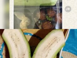 Viral MBG Isi Pisang Mentah di Donomulyo, SPPG Akui Salah Supplier