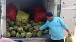 Satu Kelapa Muda untuk Dua Hari MBG di Pamekasan, SPPG Sebut Sudah Sesuai Ketentuan Ahli Gizi